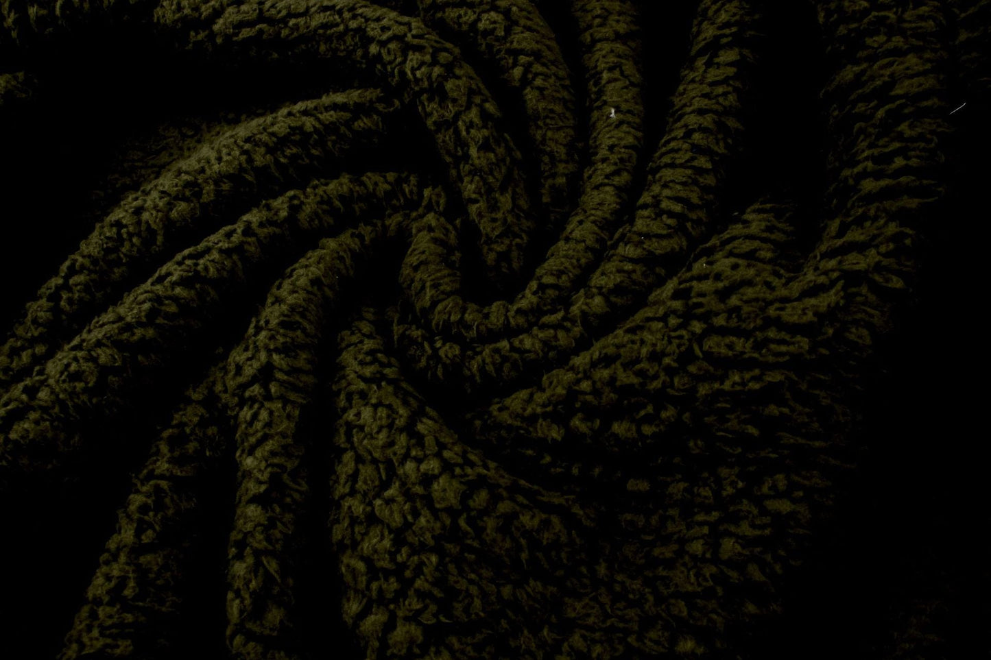 Zip Up Long Sherpa Jacket With Hood Fluffy Fleece in Green